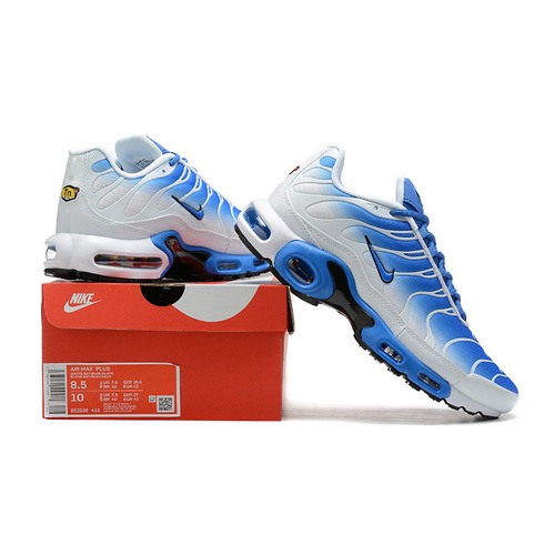 Nike Air Max TN Shoes