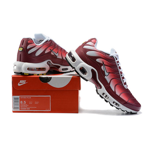 Nike Air Max TN Shoes