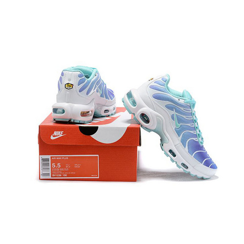 Nike Air Max TN Shoes