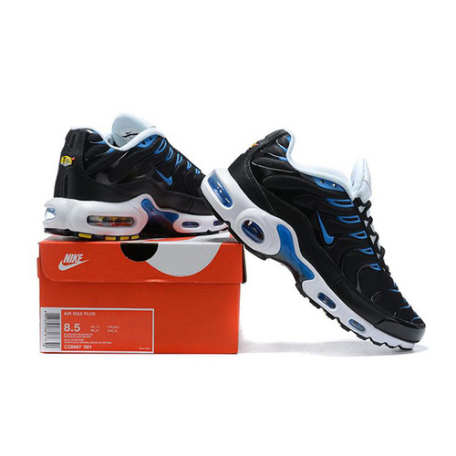 Nike Air Max TN Shoes