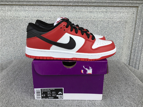 Nike SB Dunk Low Pro Shoes