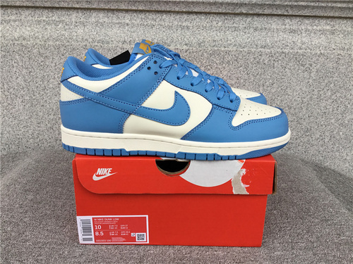 Nike Dunk Low Coast Shoes