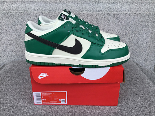 Nike Dunk low SB Shoes