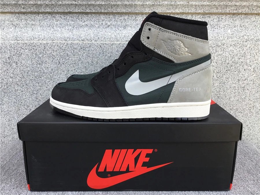 Air Jordan 1 High Gore-Tex AJ1