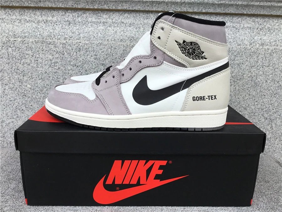 Air Jordan 1 High Gore-Tex A1